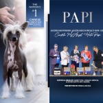 15 Fox Papi AdBanner 060225