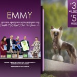 25 Fox Emmy AdBanner 060225