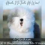 28 Johnson Colton_SR052025