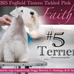 7 Kelly Harbison SR052025