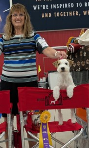 Classic's Ballroom Blitz