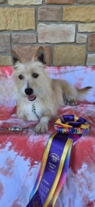 Corral West Fancy Like Applebee's On A Date Night