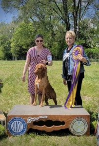 Cruiser’s Forbidden Spice Trade