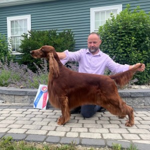 Galewinn's Simma Down