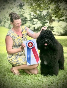 Hickory Tavern Such A Circus