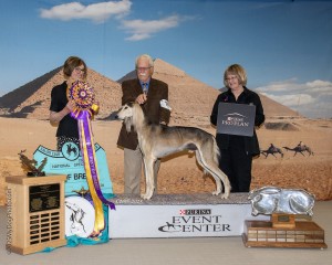 Karob Mylakhan Winter So-Lstice