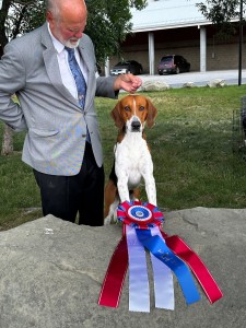 Kiarry's Show Me The Way