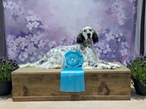 Linwood Classical Rendition