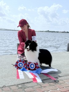 Oakdale Honeyhill Vantage Point