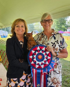 Rexroth KimRo Valentina