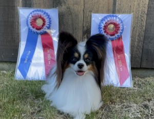 Riesa N Passionpaps Locked And Loaded