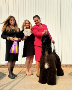 Sunlit’s King of Thieves