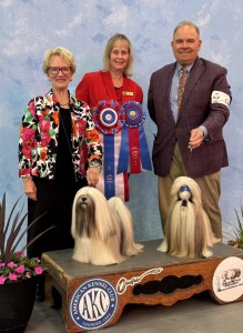 Ta Sen Westgate Jingle Juice