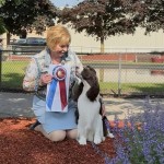 Telltale Bohemian Rhapsody