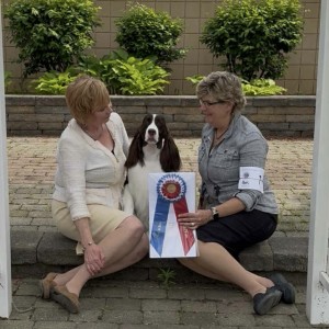 Telltale Bohemian Rhapsody