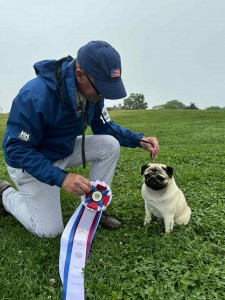 Zuma's Pump Up The Jam