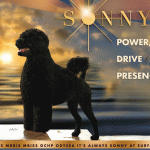 9 Truesdale_SR072025