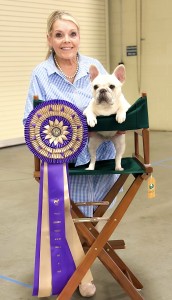 Diva's Sassafras Lass