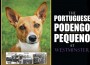 F The Port Podengo Pequeno at Westminster