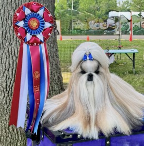 Hallmark Jolei Out Of This World