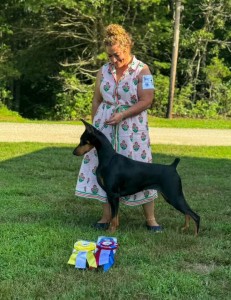 Kelview's A Reason To Reign V Connquest