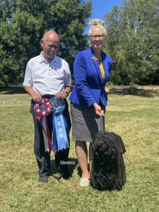 Lajosmeyi The Music Man