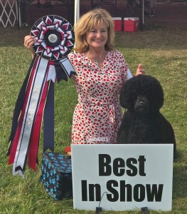 Odysea Its Always Sonny At Surfari