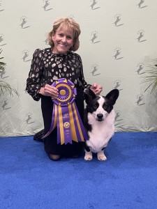 XIV Karat May I Have Your Attention Please