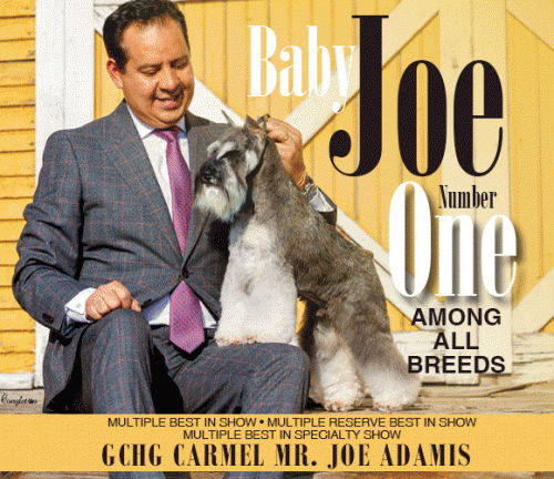 14 Lande_MiniSch_SR_04_21_25