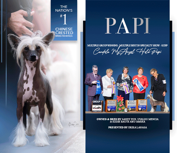 15-Fox-Papi-Crested-080225