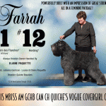 35 PaquetteGarrison_SR082025_01