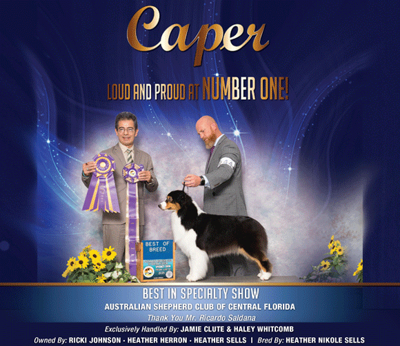 8 Johnson_Ricki_SR082025