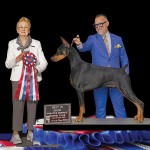 Barksdale-REMY-Smith-Hafner-BIS