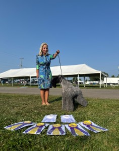 Bluecrush Renaissance Man Of Edbrios