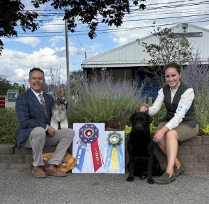 Carmel Mr. Joe Adamis