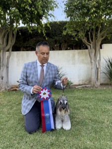 Carmel Mr. Joe Adamis