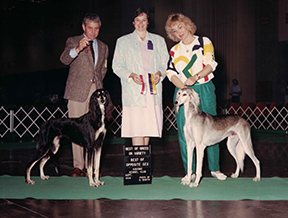  1984 Ch. Baghdad's Ebony Enchantress & Ch. Afking Baghdad Charaj Shaitan