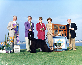 Ch Tryst of Grandeur 1995 National specialty