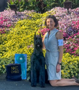 Fanta C’s Every Time A Bell Rings