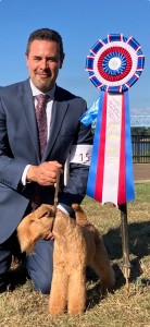 Hi-Kel Terrydale No Denial