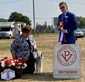 L'End Show Moviestar