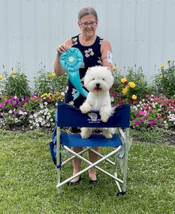 Northern Lights Ursa Major Bear