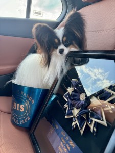 Riesa N Passionpaps Locked And Loaded