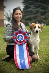 Sheez-Beez Evermore Twice Told Tales