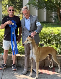 Shylo Greycott Sheer Knockout