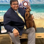 Studio Be Curious Jp Justice Hero