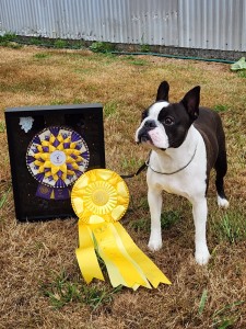 Tre Run's He's An Angry Elf At EJT