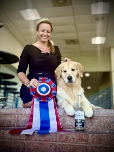 Verdoro's The Border Is Closed