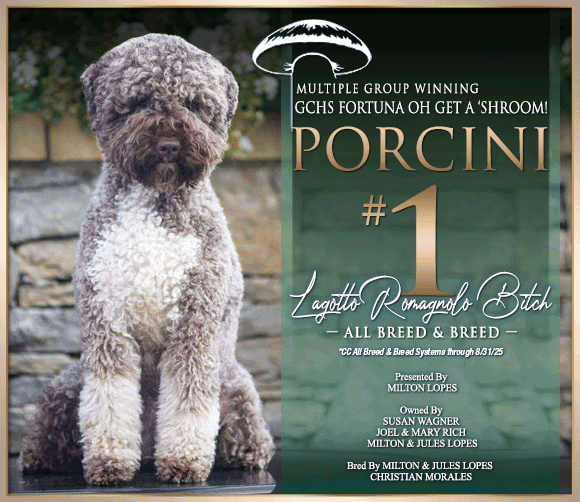 22 Rich PORCINI_SR_102025