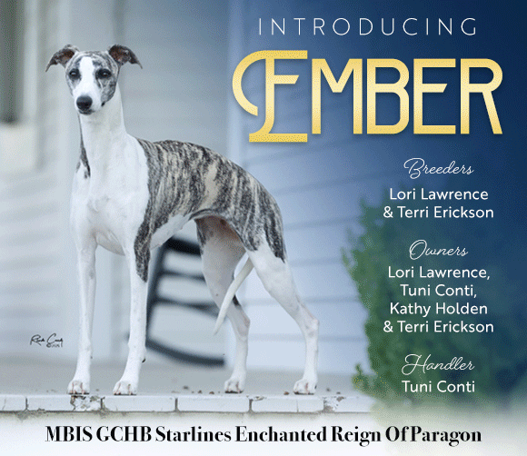 24 Ember_GIF_SEPT2025_